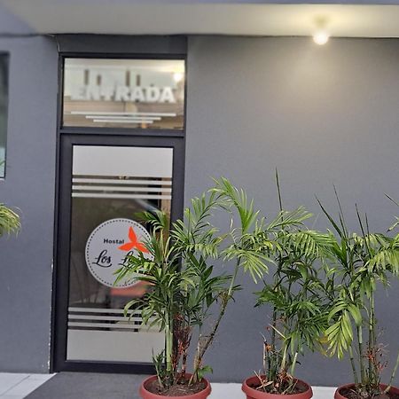 Hostal Los Lirios โลจา ภายนอก รูปภาพ